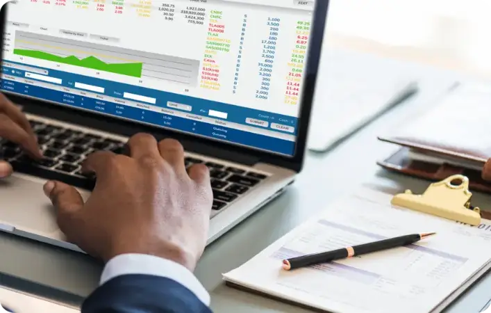 Professional woman working