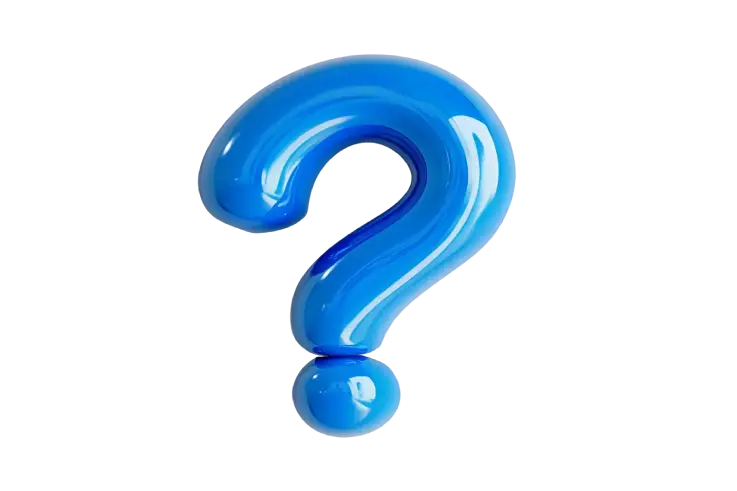 Professional woman working